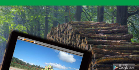 Timbeter, nueva app para la medición de volumen de madera